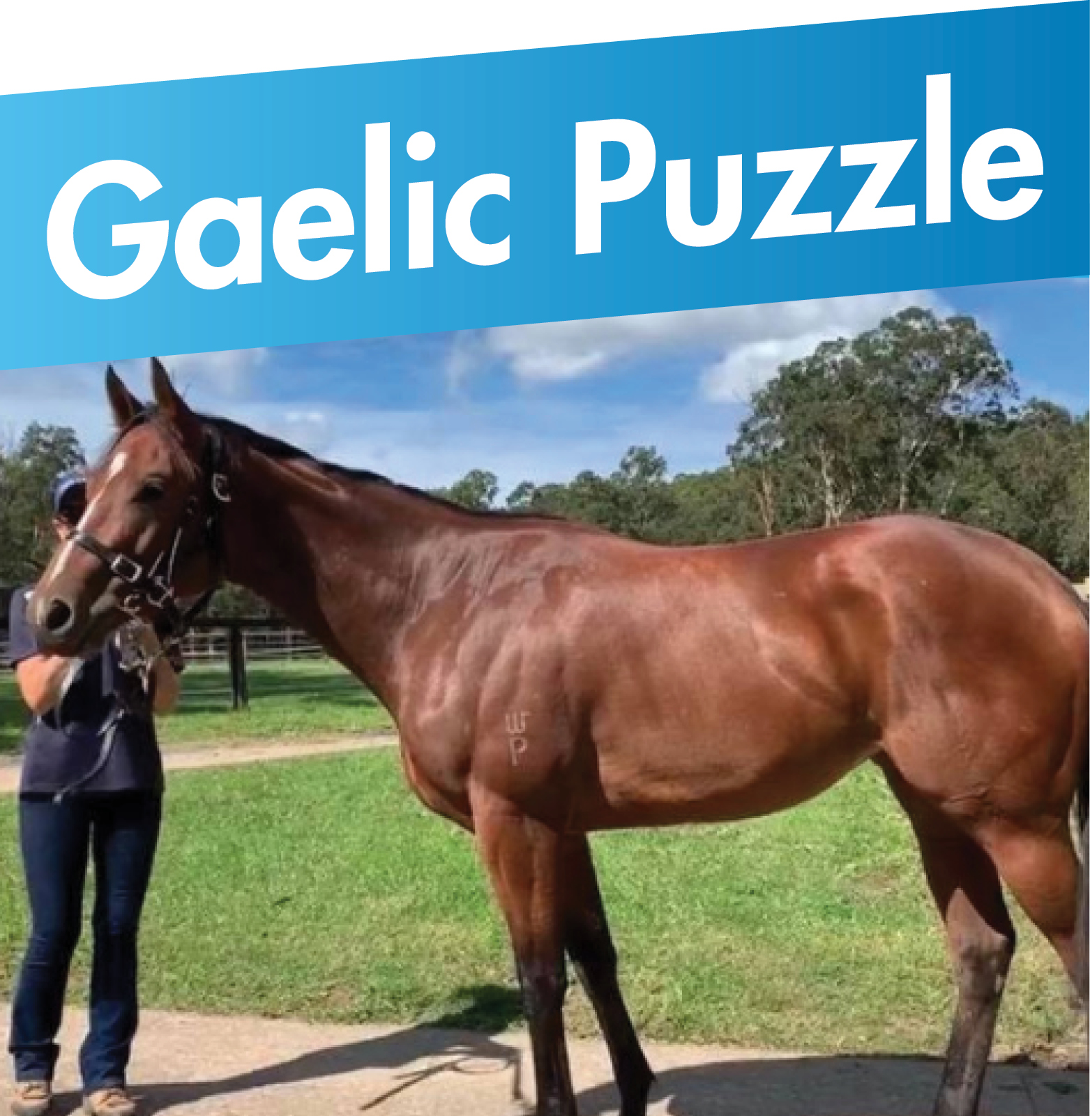 Gaelic Puzzle Horse Sold