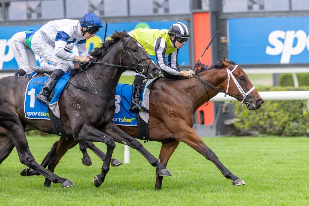 Two jockeys race their horses on a green turf close together near the finish with blue sponsor banners in the background