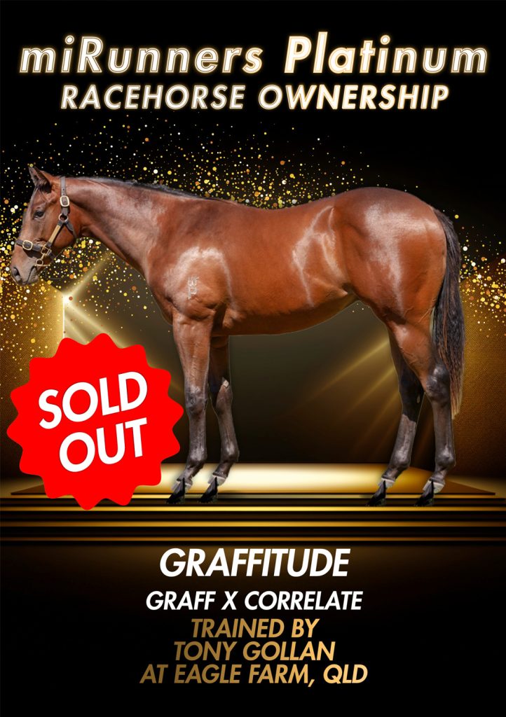 Promotional poster featuring a brown thoroughbred on a gold black stage with glittery sparkles large mirunners platinum racehorse ownership text above and a red sold out badge on the left credits graffitude and trainer info at the bottom